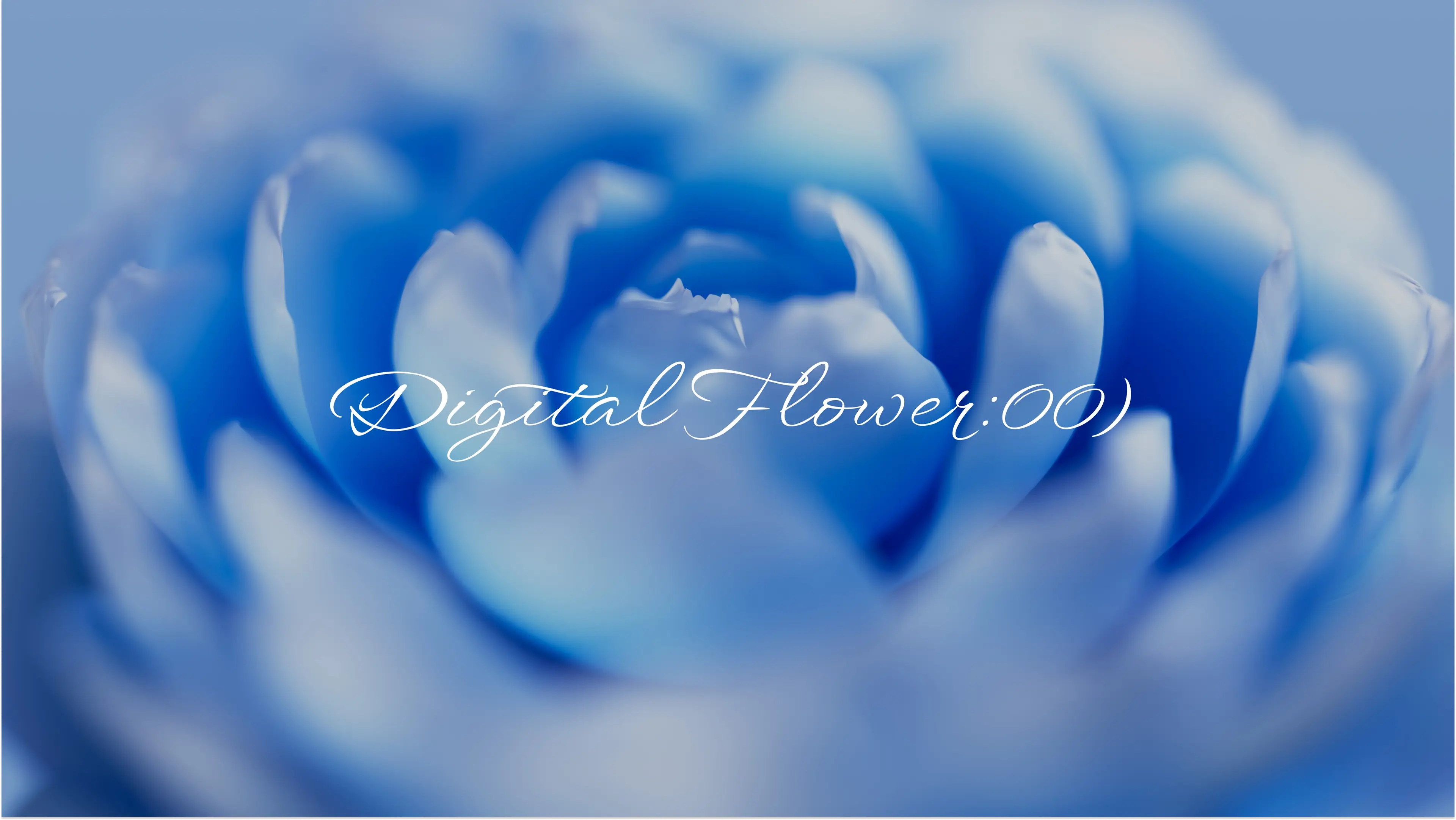 Hero - 主视觉图片